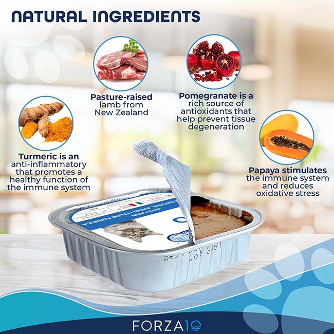 Forza10 Nutraceutic Actiwet Cat Food - Hypo Hypoallergenic Diet - Lamb Recipe - 3.5 oz image number null