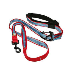 Kurgo Quantum 6-in-1 Dog Leash - Reflective Red/Blue
