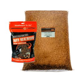 Mealworm To Go Dried Mealworms