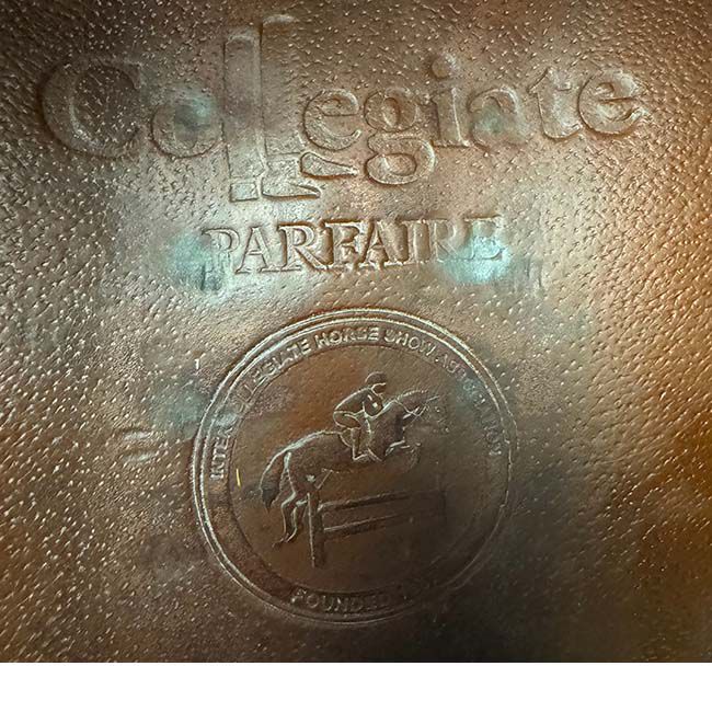 Used Collegiate Parfaire Saddle - 17.5" image number null