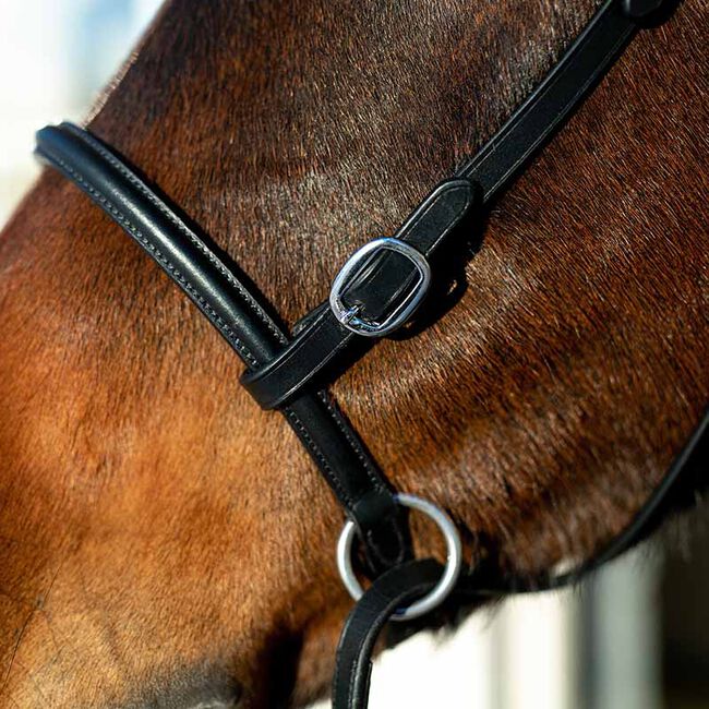 Horze Bitless Bridle image number null