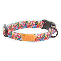 RC Pets Eco Dog Collar - Wildflowers