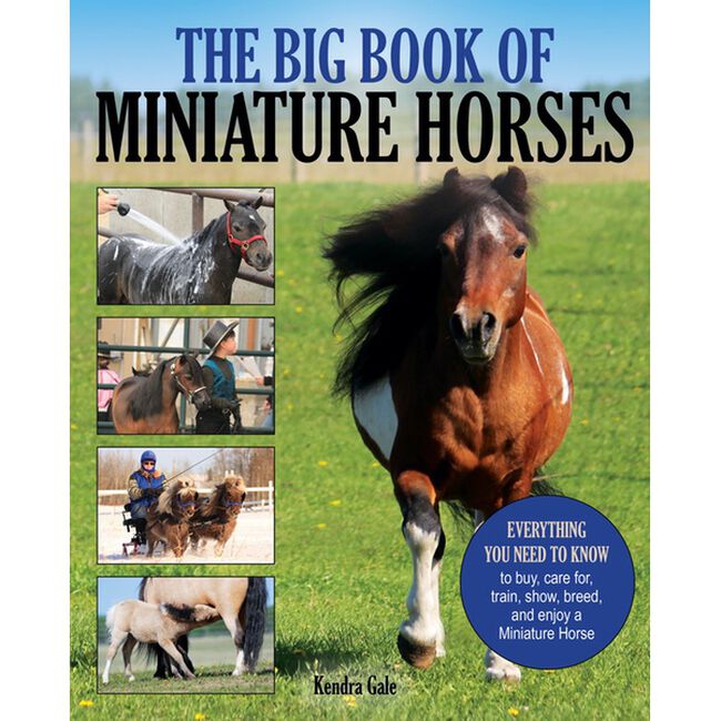 The Big Book of Miniature Horses image number null