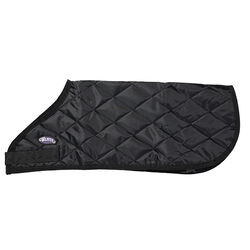 Weaver Livestock Calf Blanket - Black