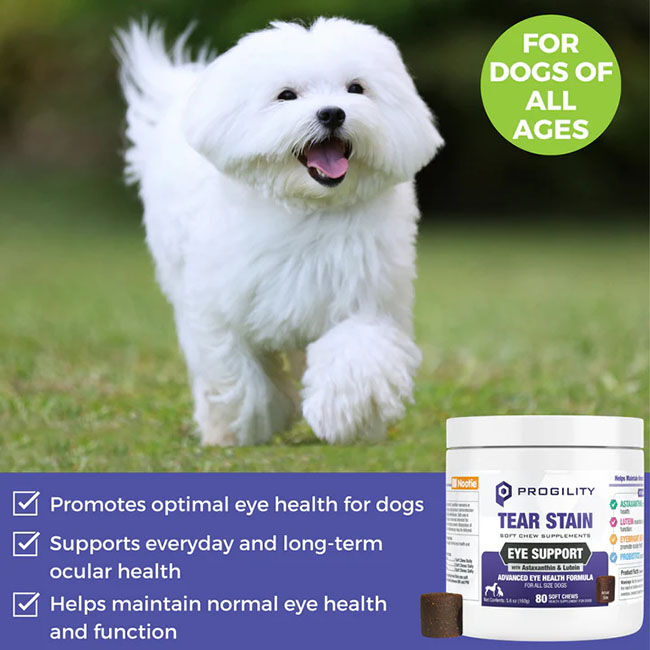 Progility Tear Stain Eye Support Soft Chew Supplement for Dogs - 80 Chews image number null