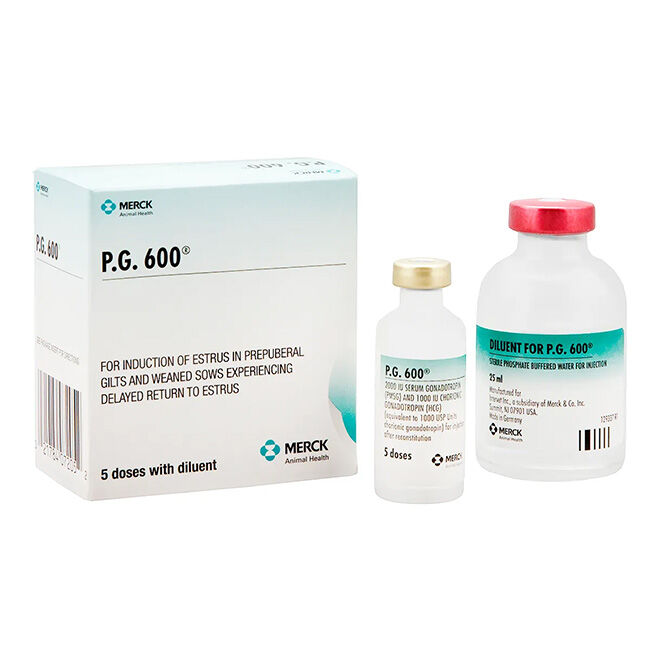 Merck P.G. 600 - 5 Doses with Diluent image number null