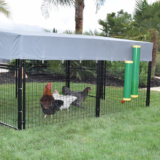 Rugged Ranch Poultry Feeder and Waterer image number null