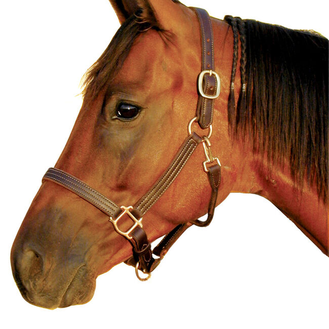Intrepid International Deluxe Leather Track Halter image number null
