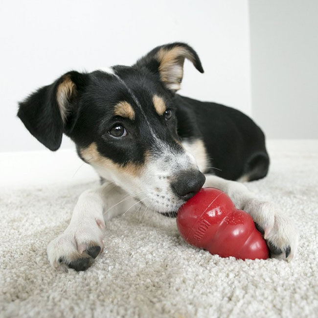 Kong Classic Dog Toy image number null