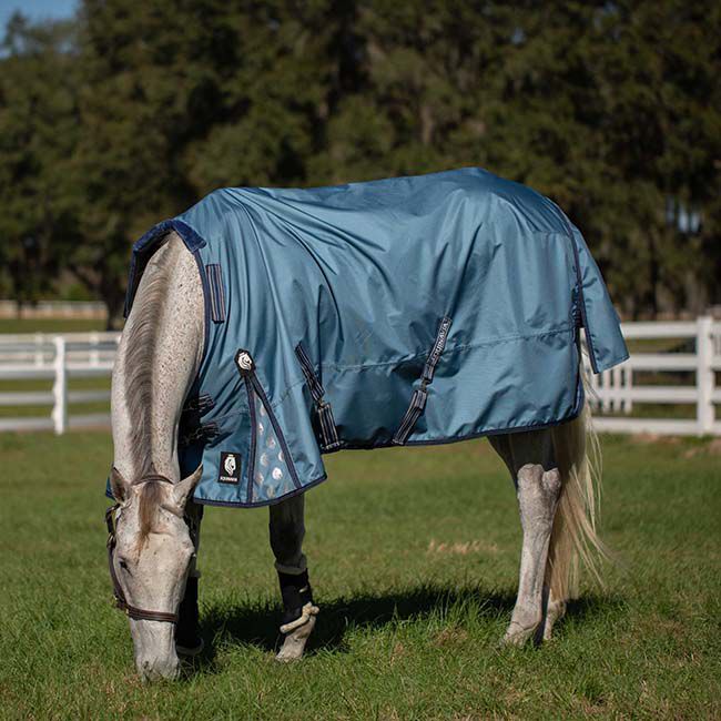 Equinavia Thunder 360 Heavyweight Turnout Blanket with Detachable Neck (300 g) - Bluestone image number null