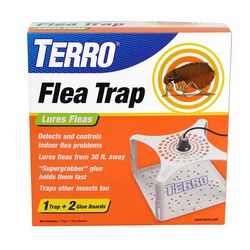 TERRO Ultimate Flea Trap