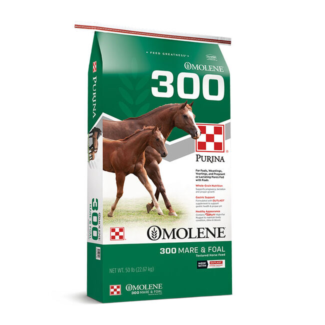 Purina Mills Omolene 300 Mare & Foal image number null