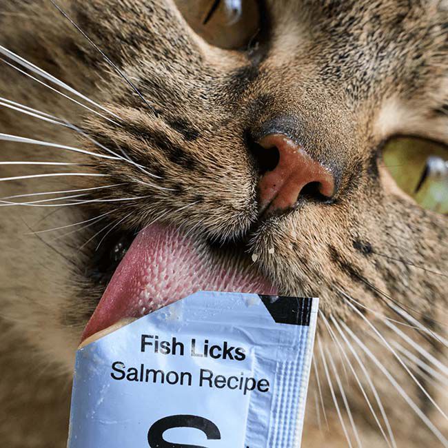 Smalls Licks Cat Treats - Fish Licks - Salmon Recipe - 8-Pack image number null
