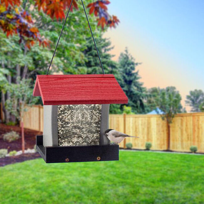 Woodlink Going Green Plastic Ranch Bird Feeder - 1.75 lb image number null