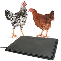 K&H Pet Thermo Heated Chicken Pad