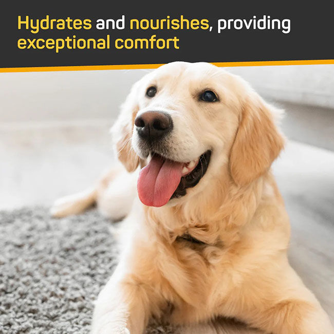 Absorbine Silver Honey Skin & Coat Care - Nourish & Soothe Leave-In Conditioner - 16 oz image number null