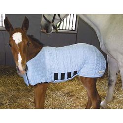 Schneiders UltraFlex Foal Saver - Blue