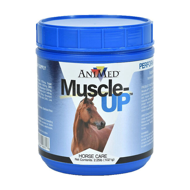 AniMed Muscle-UP image number null