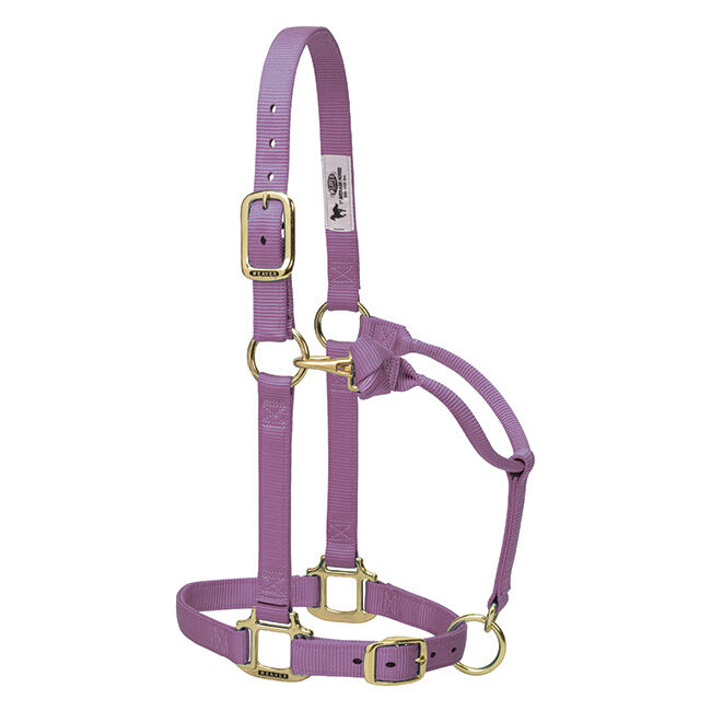 Weaver Adjustable Nylon Halter - Lavender image number null