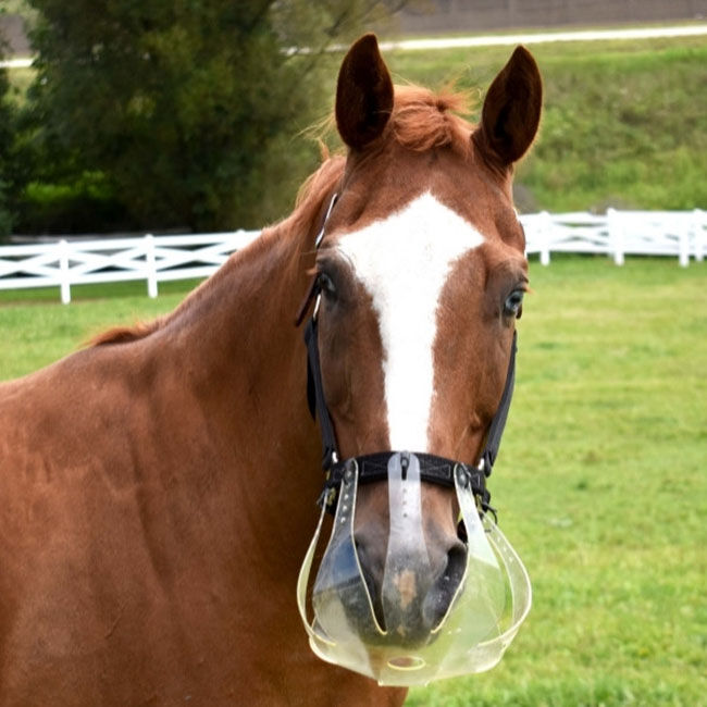 Thinline Flexible Filly Slow Feed Grazing Muzzle image number null