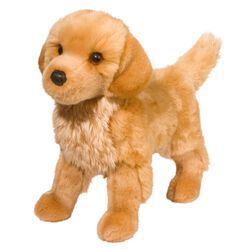 Douglas King the Golden Retriever