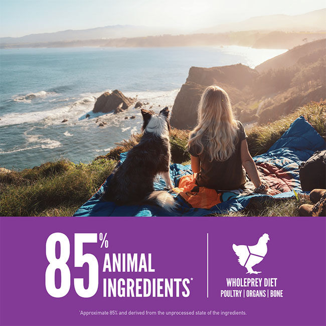 ORIJEN Large Breed Puppy Formula Dry Dog Food image number null