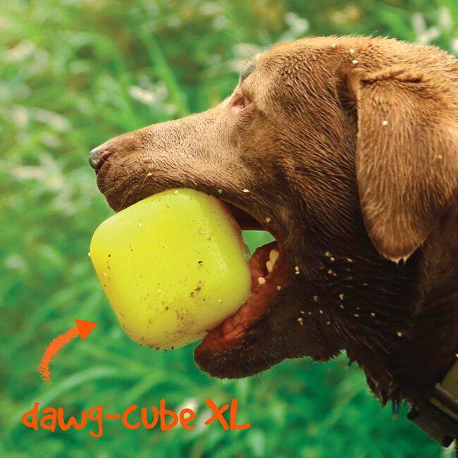 Ruff Dawg Dawg-Cube - Rubber Retrieving Dog Toy - Assorted Colors image number null