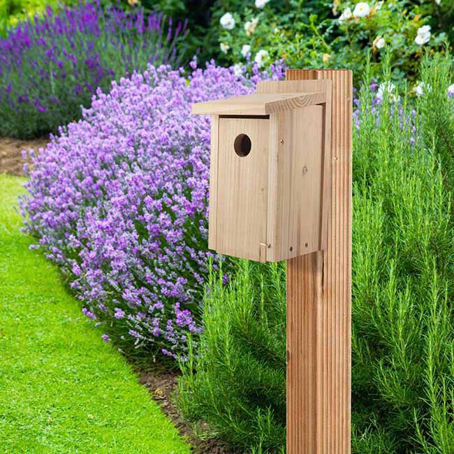 Audubon Red Cedar Bluebird House image number null