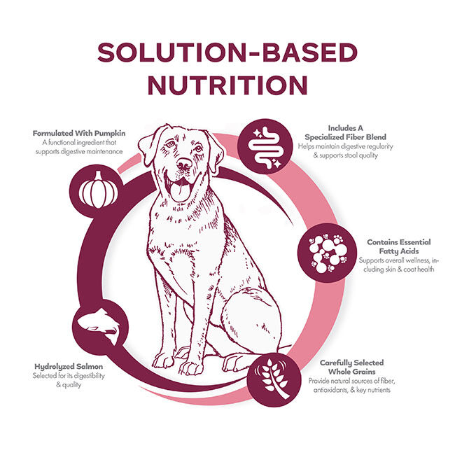 Fromm Nutritionals Sensitive Skin & Stomach Dog Food - Salmon & Whole Oats Recipe image number null