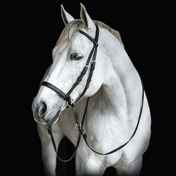 Dr. Cook Bitless Beta Headstall