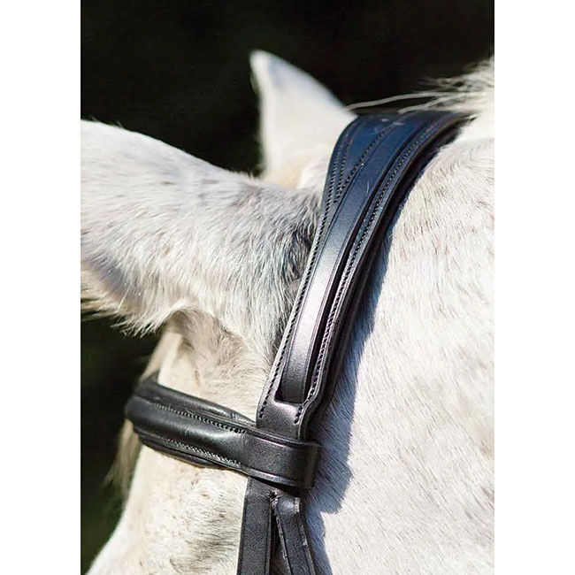 Shires Avignon Louisville Bridle image number null