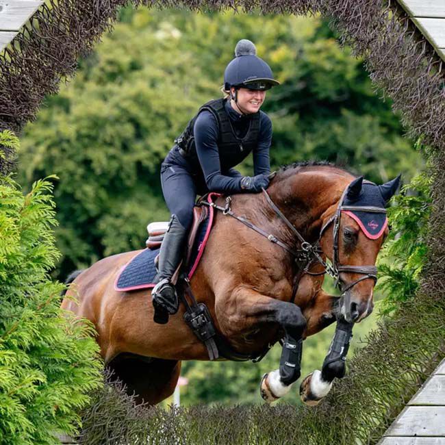 LeMieux Suede Close Contact Pad - Navy/Cranberry image number null