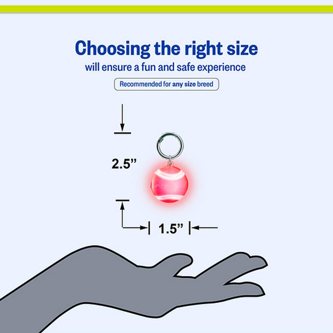 Petsport Bling Bling Blinker - Rechargeable LED Safety Light image number null