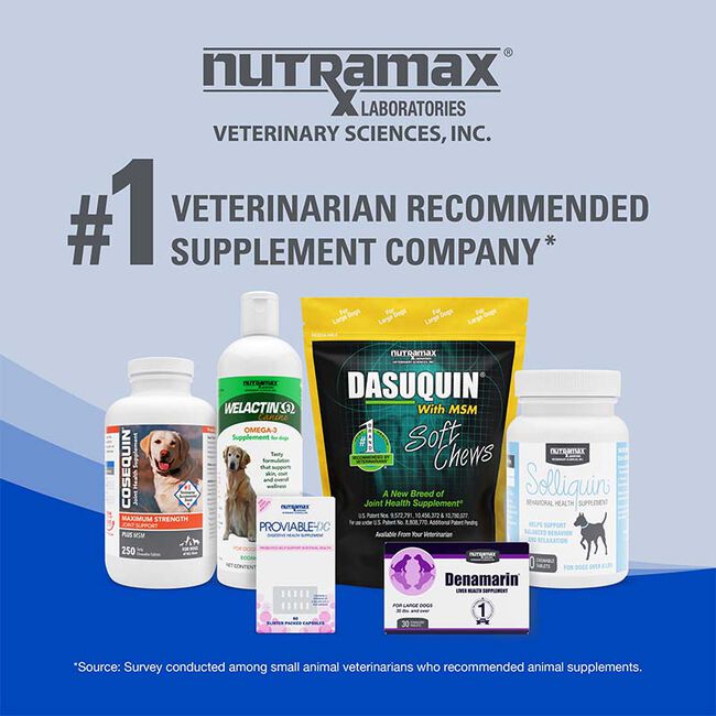 Nutramax Cobalequin B12 Supplement for Medium to Large Dogs - 45 Chewable Tablets image number null