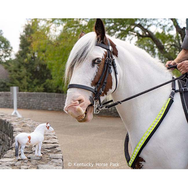 Breyer Legend - Kentucky Horse Park Mounted Police Horse image number null