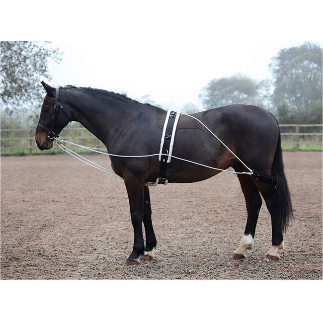 Shires Lunging Aid image number null