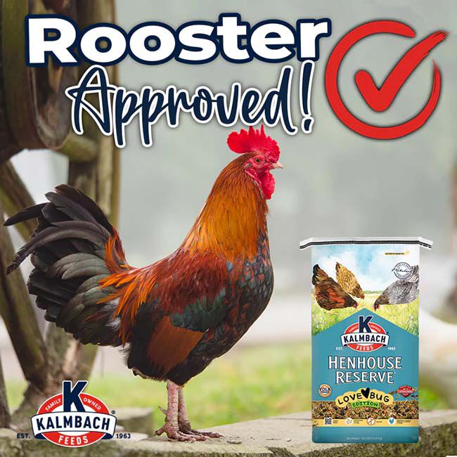 Kalmbach Feeds Henhouse Reserve Love Bug for Chickens & Poultry - 30 lb image number null