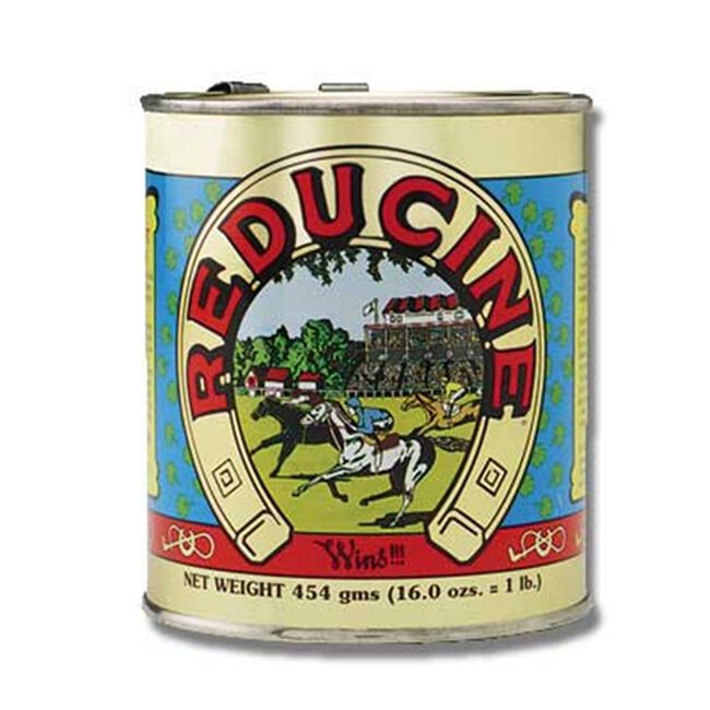 Horse Health Reducine Absorbent image number null