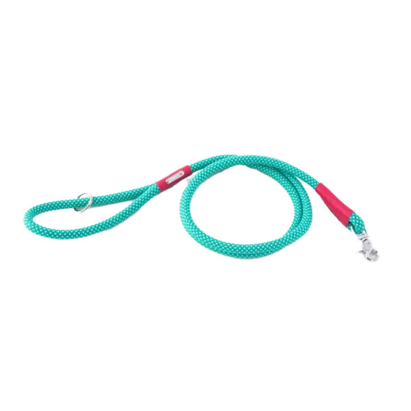 Zippy cheap paws leash