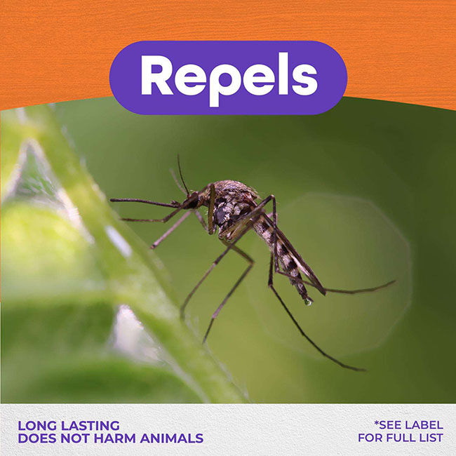 Bonide Mosquito Beater - Ready-to-Spray Insect Repellent - Safe for People & Pets image number null