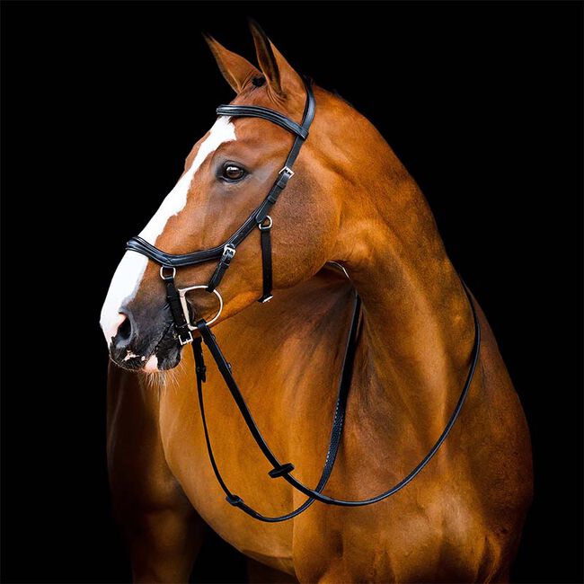 Horseware Rambo Micklem 2 Deluxe Competition Bridle image number null