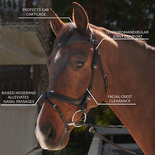 Total Saddle Fit Better Bridle image number null