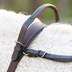 Correct Connect Double Neck Strap