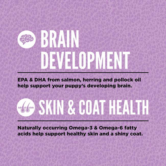 ORIJEN Large Breed Puppy Formula Dry Dog Food image number null