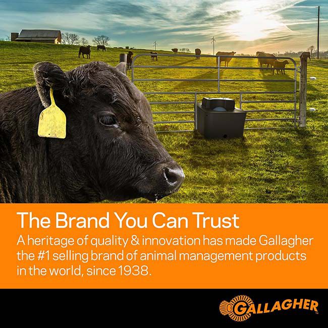 Gallagher S80 Lithium Solar Fence Energizer image number null