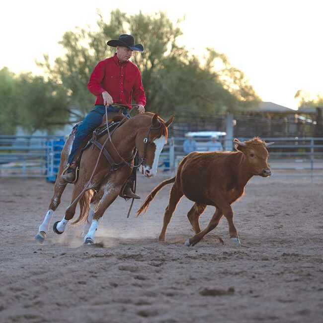 Weaver Equine Synergy Burgundy Latigo Leather Performance Slide Ear Headstall image number null