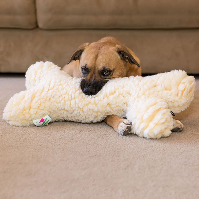 HuggleHounds 2' Plush Bone Dog Toy image number null