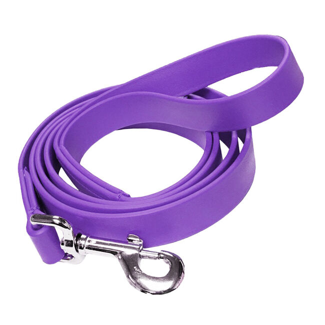 Feather-Weight Waterproof Dog Leash - Purple image number null