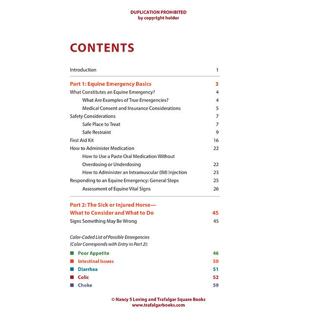 What to Do Until the Vet Arrives: Emergency Care for Horses image number null