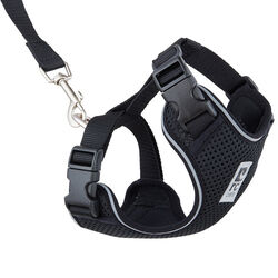 RC Pets Adventure Kitty Harness - Black